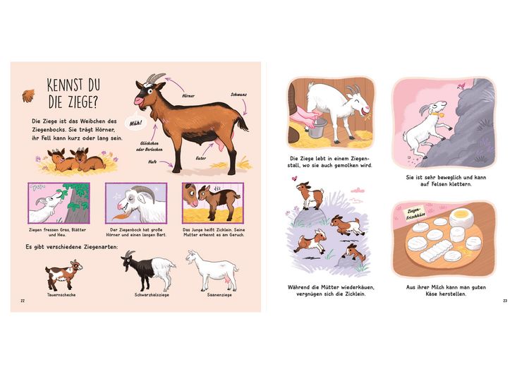 Produktbild: Kennst du die Tierkinder? - Sachbilderbuch f&uuml;r Kinder ab 3 Jahren