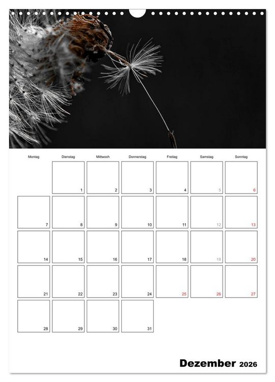 Produktbild: schwarz/wei&szlig; trifft farbe - DEIN TERMINKALENDER / Planer (Wandkalender 2026 DIN A3 hoch), CALVENDO Monatskalender
