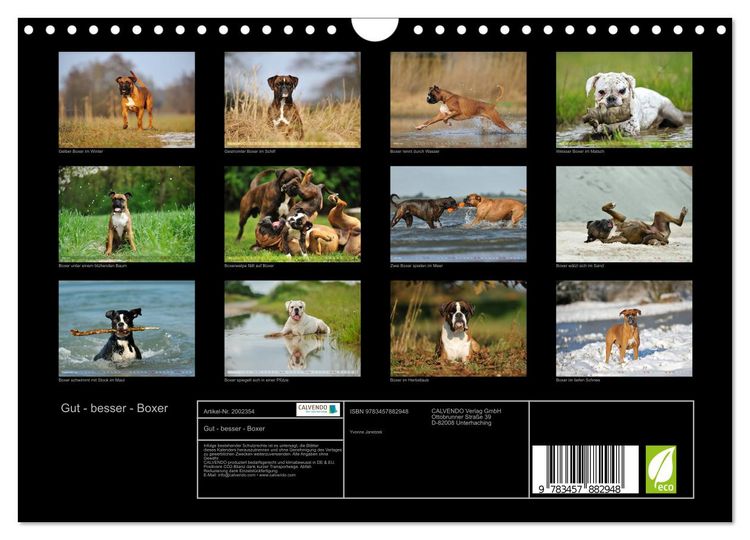 Produktbild: Gut - besser - Boxer (Wandkalender 2026 DIN A4 quer), CALVENDO Monatskalender
