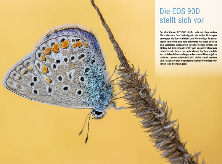Produktbild: Canon EOS 90D