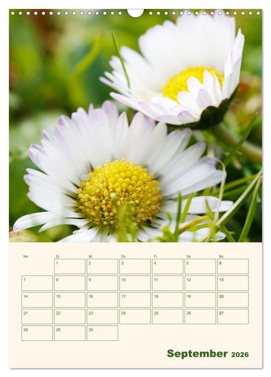 Produktbild: Vertr&auml;umte G&auml;nsebl&uuml;mchen (Wandkalender 2026 DIN A3 hoch), CALVENDO Monatskalender