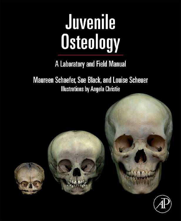Produktbild: Scheuer: Juvenile Osteology