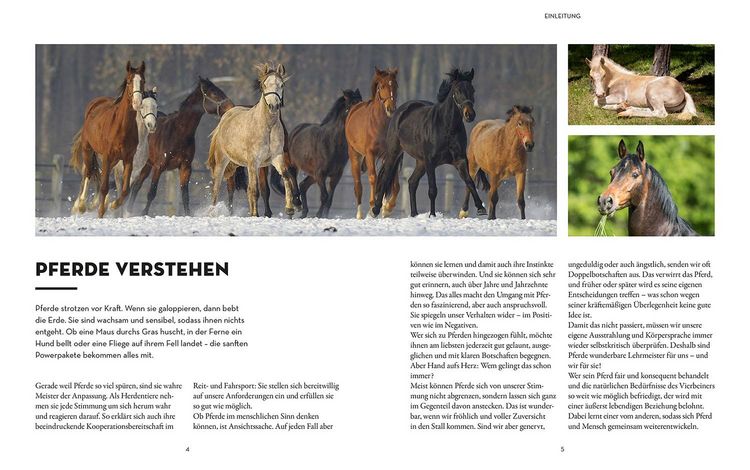Produktbild: Was denkt mein Pferd?
