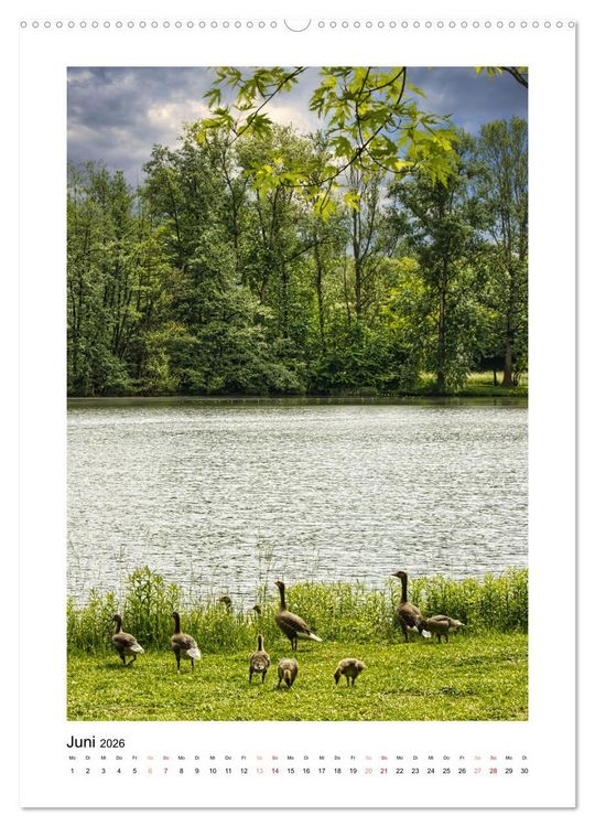 Produktbild: Mein Steinertsee (hochwertiger Premium Wandkalender 2026 DIN A2 hoch), Kunstdruck in Hochglanz