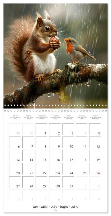 Produktbild: WILDLIFE IN THE ENCHANTED FOREST (Wall Calendar 2026 12 &times; 12 Inch) CALVENDO 12 Month Wall Calendar