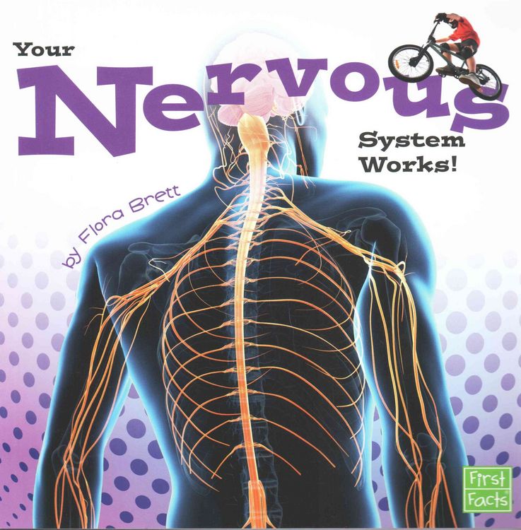 Produktbild: Your Nervous System Works!