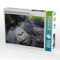 Produktbild: CALVENDO Puzzle Junger Berggorilla (gorilla beringei beringei) , Ruanda | 1000 Teile Lege-Gr&ouml;&szlig;e 64x48cm Foto-Puzzle f&uuml;r gl&uuml;ckliche Stunden