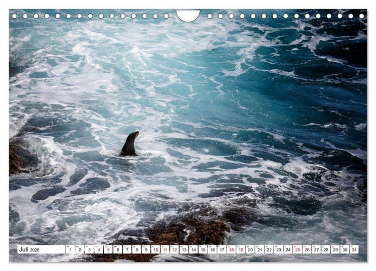 Produktbild: Wildlife Australien (Wandkalender 2026 DIN A4 quer), CALVENDO Monatskalender