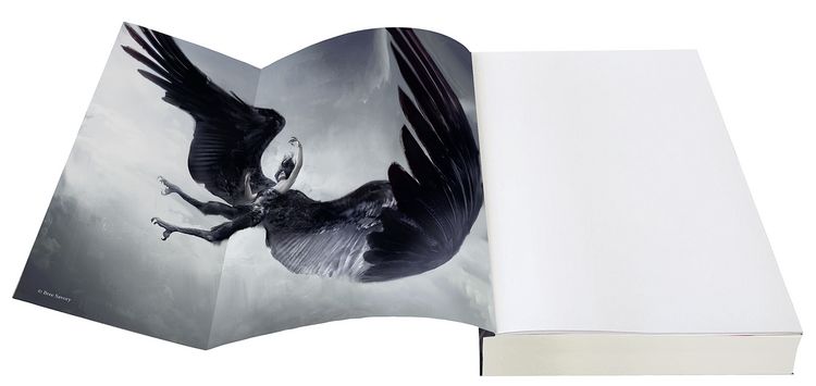 Produktbild: A Whisper of Wings