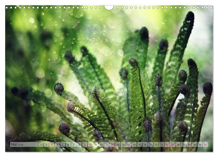 Produktbild: Vintage Nature - Romantische Naturaufnahmen (Wandkalender 2026 DIN A3 quer), CALVENDO Monatskalender