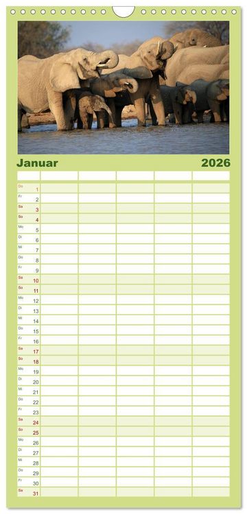 Produktbild: Familienplaner 2026 - Afrika - im Reich der Elefanten mit 5 Spalten (Wandkalender, 21 x 45 cm) CALVENDO