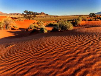 Produktbild: CALVENDO Puzzle Morgenlicht in der Namib-W&uuml;ste in der Sossusvlei | 1000 Teile Lege-Gr&ouml;&szlig;e 64x48cm Foto-Puzzle f&uuml;r gl&uuml;ckliche Stunden