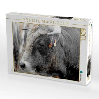 Produktbild: CALVENDO Puzzle Bull Aubrac | 1000 Teile Lege-Gr&ouml;&szlig;e 64x48cm Foto-Puzzle f&uuml;r gl&uuml;ckliche Stunden