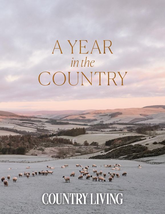 Produktbild: A Year in the Country
