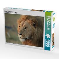 Produktbild: CALVENDO Puzzle L&ouml;wen &ndash; Morgenspaziergang 1000 Teile Lege-Gr&ouml;&szlig;e 64 x 48 cm Foto-Puzzle Bild von Michael Herzog