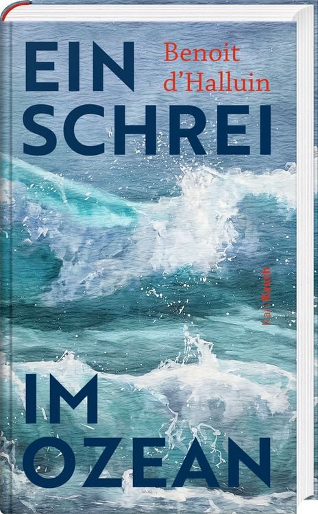 Produktbild: Ein Schrei im Ozean