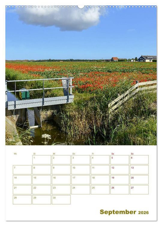 Produktbild: Texel - Momente die verzaubern (Wandkalender 2026 DIN A2 hoch), CALVENDO Monatskalender