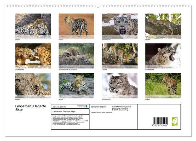 Produktbild: Leoparden. Elegante J&auml;ger (hochwertiger Premium Wandkalender 2026 DIN A2 quer), Kunstdruck in Hochglanz