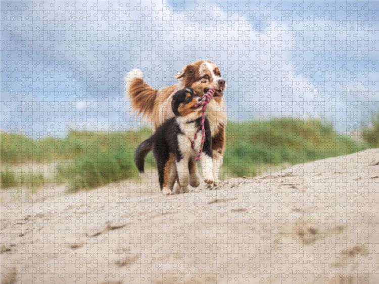 Produktbild: CALVENDO Puzzle Spa&szlig; zu Zweit | 1000 Teile Lege-Gr&ouml;&szlig;e 64x48cm Foto-Puzzle f&uuml;r gl&uuml;ckliche Stunden