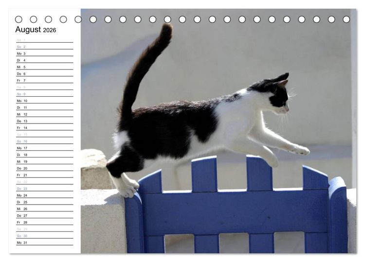 Produktbild: Katzensprung (Tischkalender 2026 DIN A5 quer), CALVENDO Monatskalender