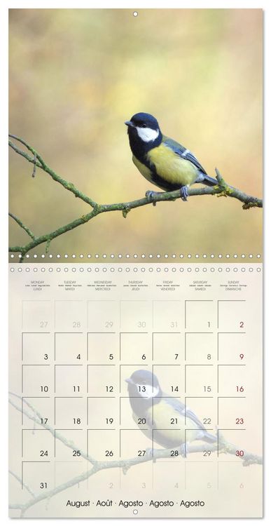 Produktbild: Le jardin des m&eacute;sanges (Calendrier mural carr&eacute; 2026 30x30 cm) Calendrier double avec une page pour vos prises de notes