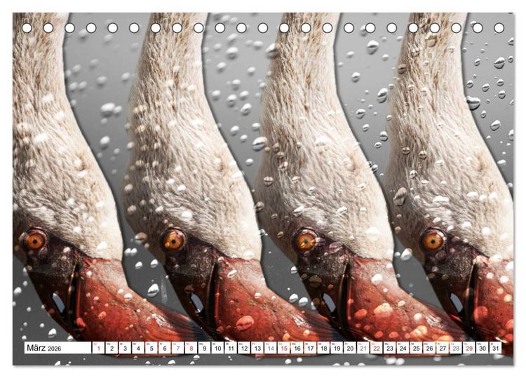 Produktbild: Emotionale Momente: African Dreams (Tischkalender 2026 DIN A5 quer), CALVENDO Monatskalender
