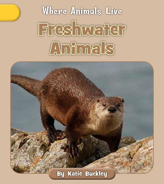 Produktbild: Freshwater Animals