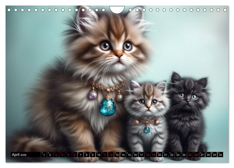 Produktbild: Katzenmomente (Wandkalender 2026 DIN A4 quer), CALVENDO Monatskalender