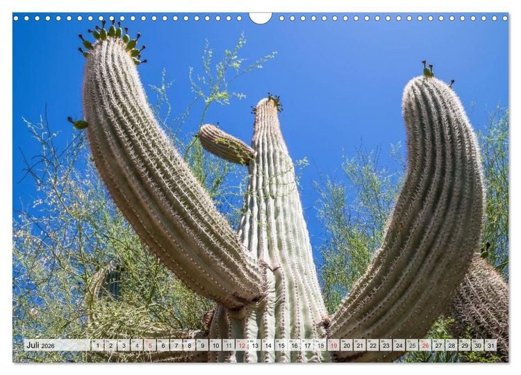 Produktbild: ARIZONA UND UTAH Ein einzigartiges Erlebnis (Wandkalender 2026 DIN A3 quer), CALVENDO Monatskalender