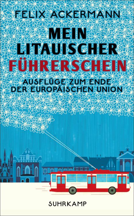 Produktbild: Mein litauischer F&uuml;hrerschein