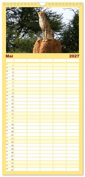 Produktbild: Familienplaner 2027 - Geparden - Begegnungen in Afrika mit 5 Spalten (Wandkalender, 21 x 45 cm) CALVENDO
