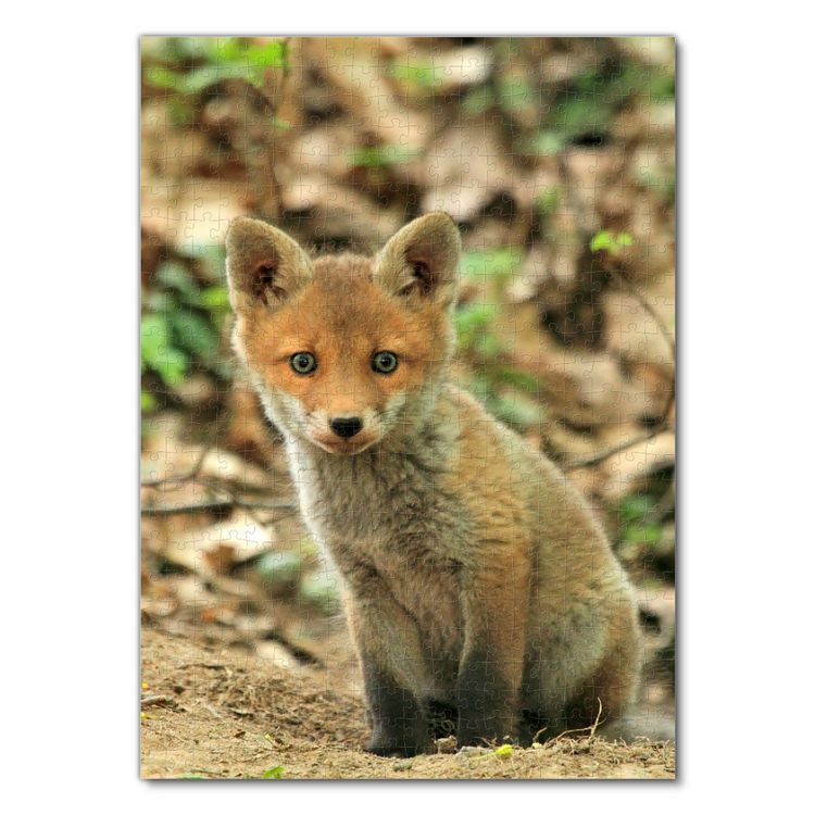 Produktbild: Lais Puzzle Fuchs 500 Teile