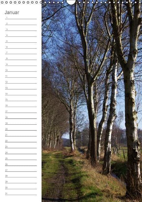 Produktbild: Malerisches Teufelsmoor (Wandkalender immerw&auml;hrend DIN A3 hoch)