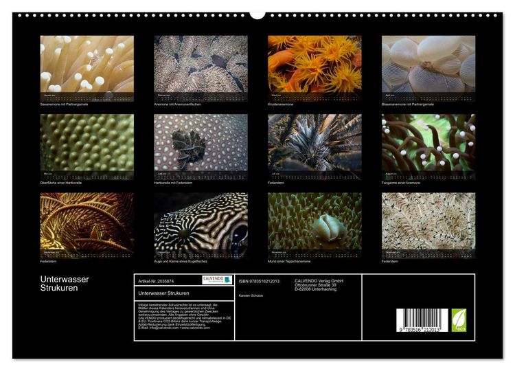 Produktbild: Unterwasser Strukuren (hochwertiger Premium Wandkalender 2026 DIN A2 quer), Kunstdruck in Hochglanz