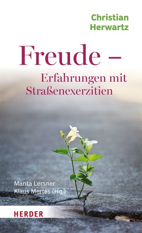 Produktbild: Freude - Erfahrungen mit Stra&szlig;enexerzitien