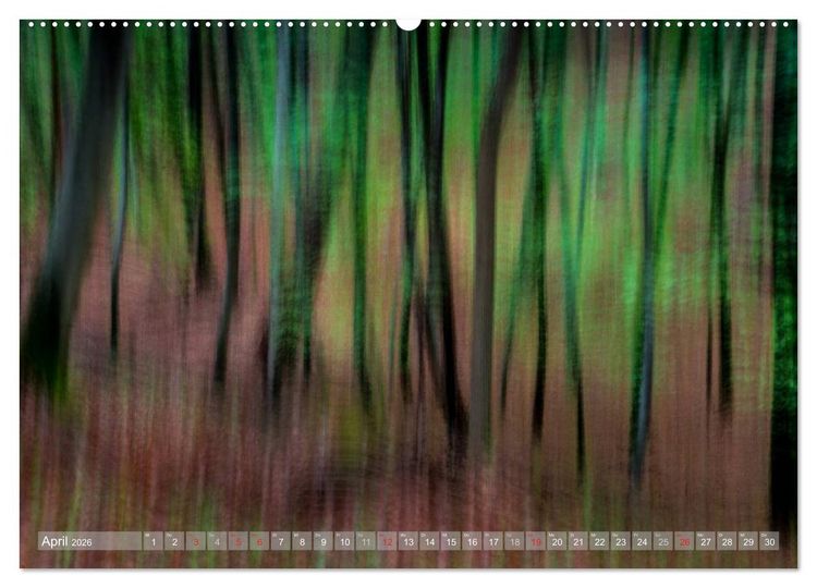 Produktbild: Atelier Wald - gemalt mit Licht (hochwertiger Premium Wandkalender 2026 DIN A2 quer), Kunstdruck in Hochglanz