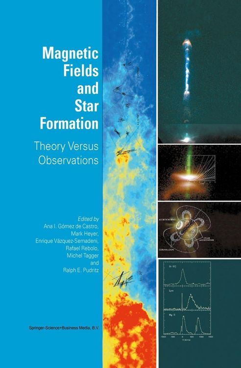 Produktbild: Magnetic Fields and Star Formation