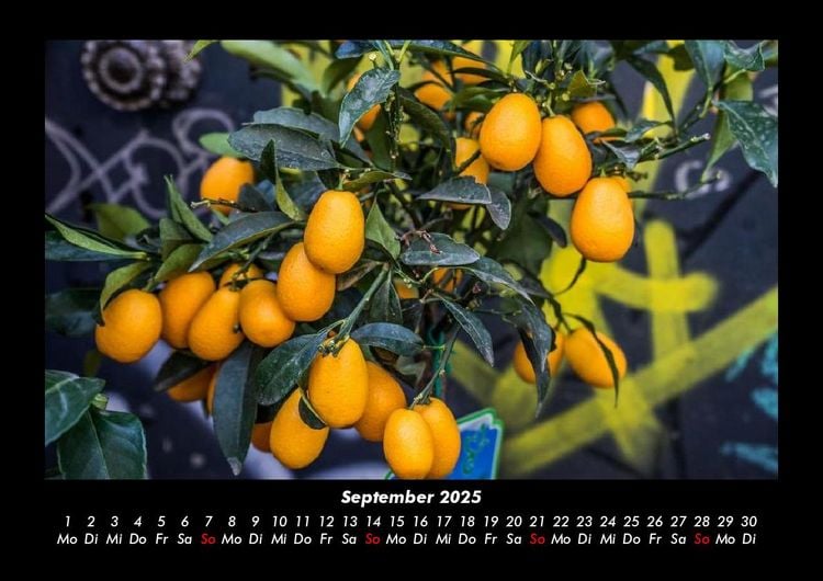 Produktbild: Barcelona 2025 Fotokalender DIN A3