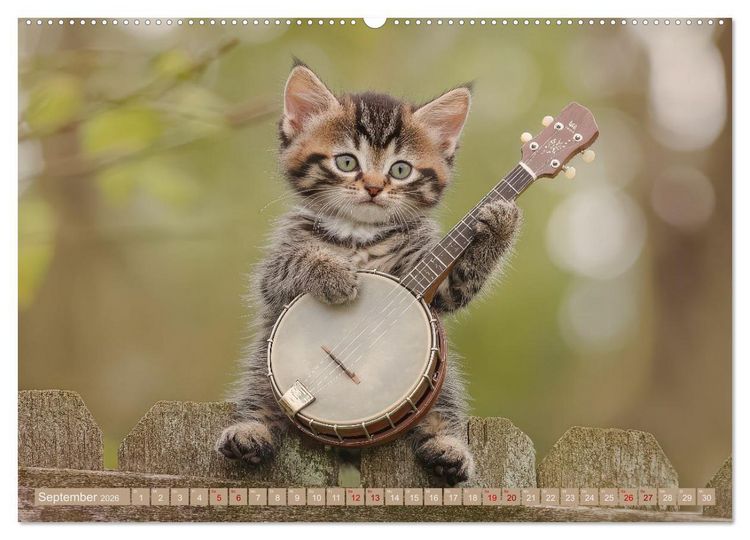 Produktbild: Miau-sikalische Momente (hochwertiger Premium Wandkalender 2026 DIN A2 quer), Kunstdruck in Hochglanz