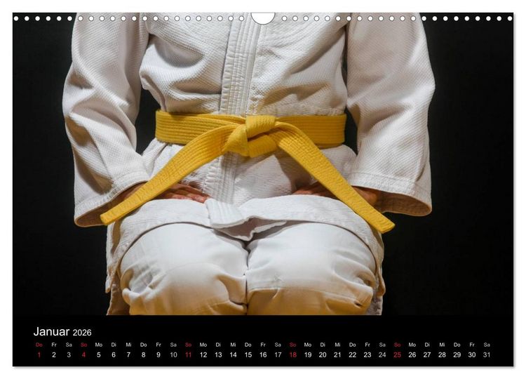 Produktbild: Kampfsport (Wandkalender 2026 DIN A3 quer), CALVENDO Monatskalender