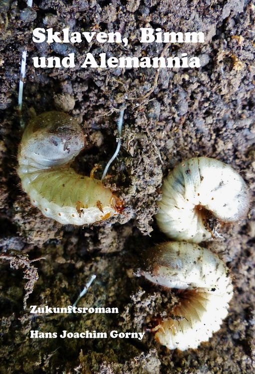 Produktbild: Sklaven, Bimm und Alemannia