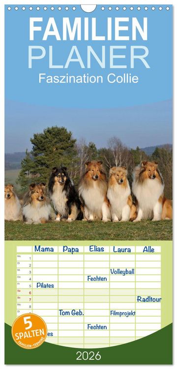 Produktbild: Familienplaner 2026 - Faszination Collie 2026 mit 5 Spalten (Wandkalender, 21 x 45 cm) CALVENDO