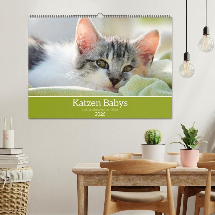 Produktbild: Katzenbabys (Wandkalender 2026 DIN A2 quer), CALVENDO Monatskalender