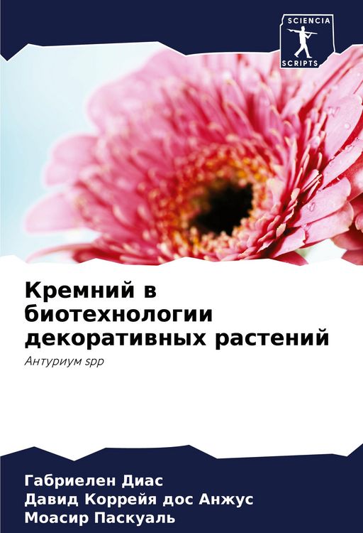 Produktbild: Kremnij w biotehnologii dekoratiwnyh rastenij