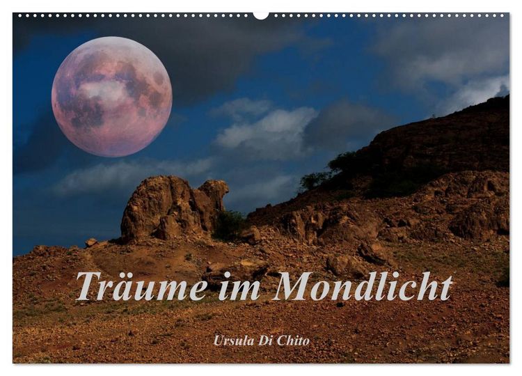 Produktbild: Tr&auml;ume im Mondlicht (Wandkalender 2026 DIN A2 quer), CALVENDO Monatskalender