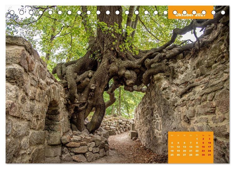 Produktbild: Traumhafter Harz (Tischkalender 2027 DIN A5 quer), CALVENDO Monatskalender