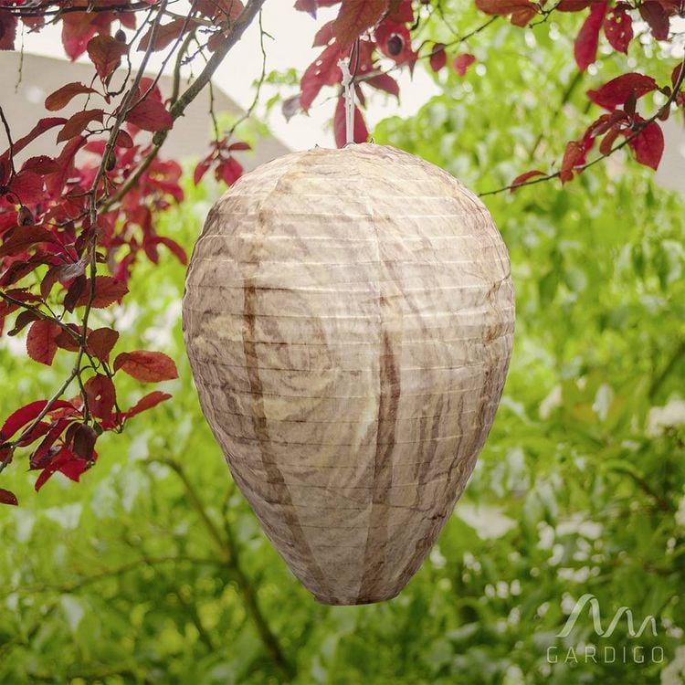 Gardigo Wespenfrei Abschreckung Wespennest-Attrappe (B x H x T) 200 x 300 x  200mm 1St. kaufen