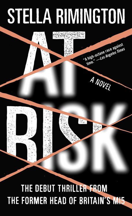 Produktbild: At Risk