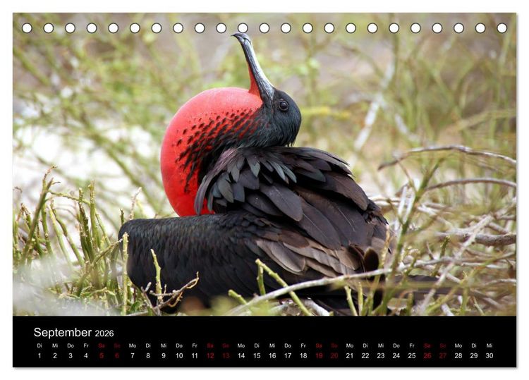 Produktbild: Ama la Vida Ecuador (Tischkalender 2026 DIN A5 quer), CALVENDO Monatskalender