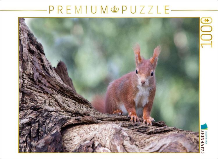 Produktbild: CALVENDO Puzzle Ich bin hier der Boss! | 1000 Teile Lege-Gr&ouml;&szlig;e 64x48cm Foto-Puzzle f&uuml;r gl&uuml;ckliche Stunden